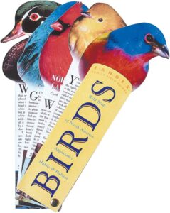 Image of bird identification cards